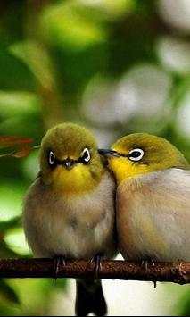 Valentine Birds live wallpaper screenshot 2