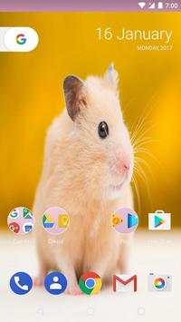 Hamster Life Wallpapers screenshot 2
