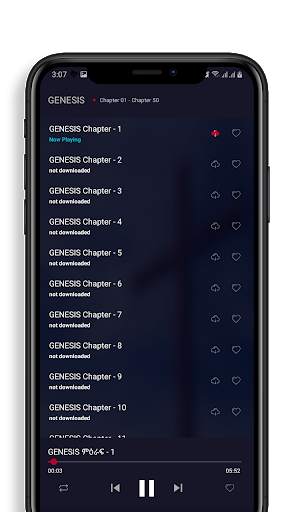 Nigerian bible Audio : Holy Bible English screenshot 2