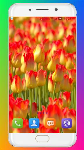 Tulip Wallpaper HD screenshot 16