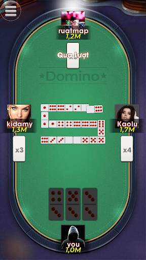 Domino screenshot 6