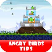 Free Angry Birds Tips 1.0