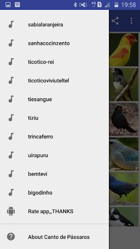 Canto de Pássaros offline screenshot 3
