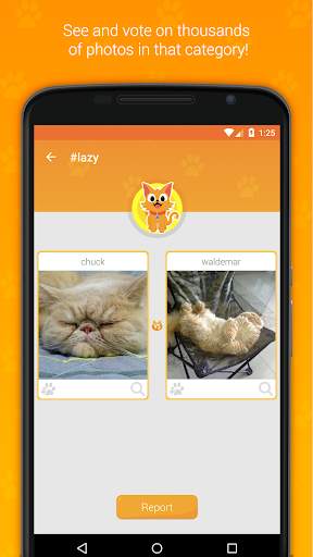 Hashcat - Cat's social network screenshot 3
