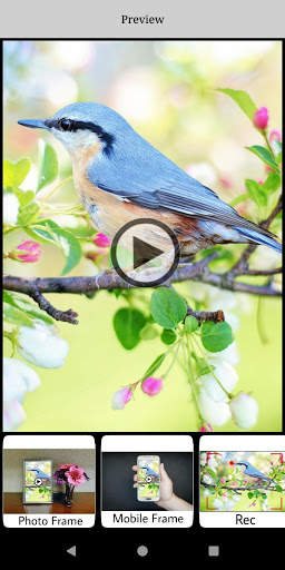 Video Camera Status - Status Maker App - StatusV screenshot 2
