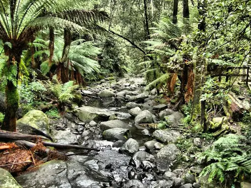 Ultimate HDR Camera screenshot 1