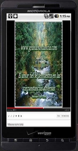 Reflexiones en video screenshot 1