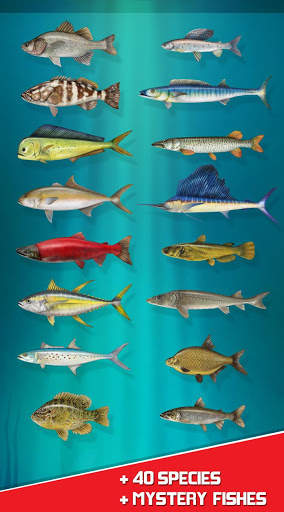 Real Reel Fishing Simulator : Ace Wild Catch 2018 screenshot 3