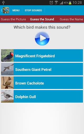 South American Birds Free स्क्रीनशॉट 6