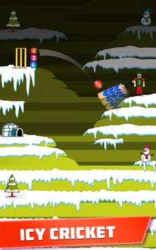 Mr. Bat: The Cricket Game screenshot 9