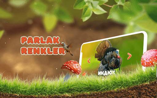 Hayvanlar âlemini öğren screenshot 4