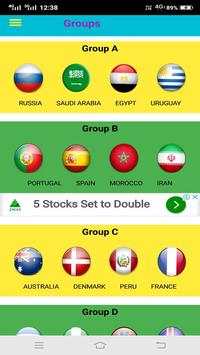FIFA world cup 2018 screenshot 3
