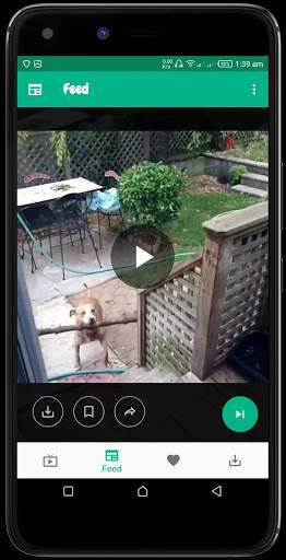 Funklips - Funny Short Videos, Viral Memes & Gifs screenshot 6