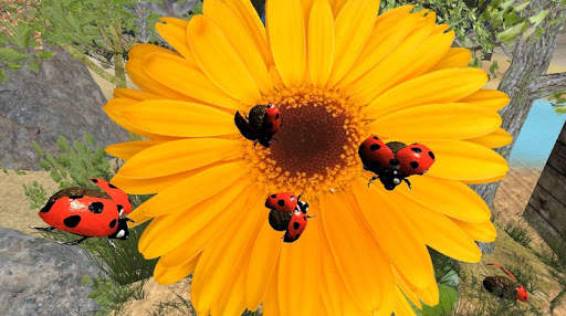 Ladybug simulator - animal game screenshot 7