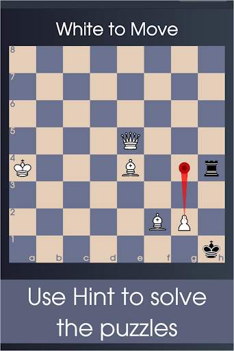 Checkmate puzzles - King Hunt  screenshot 4