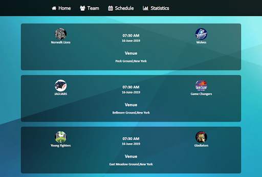 S Cricket Hub screenshot 6
