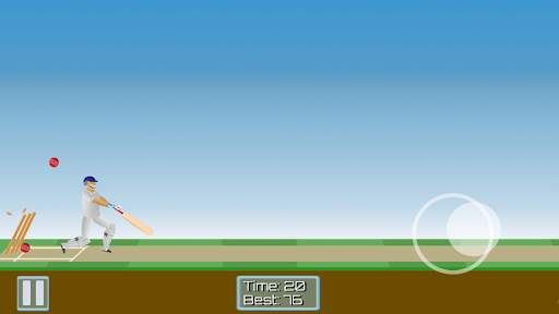 Cricket Mayhem: 2D Cricket screenshot 4