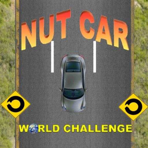 Nut Car 140322.7wr