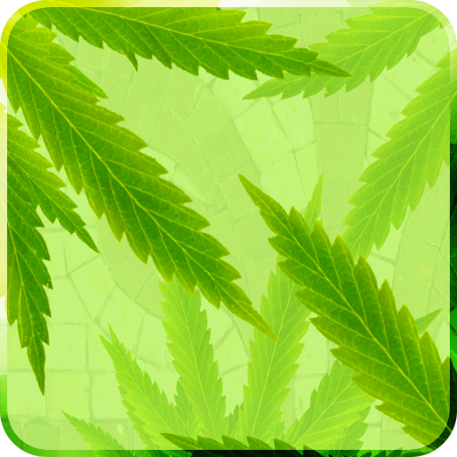 MaryJane Free Live Wallpaper icon