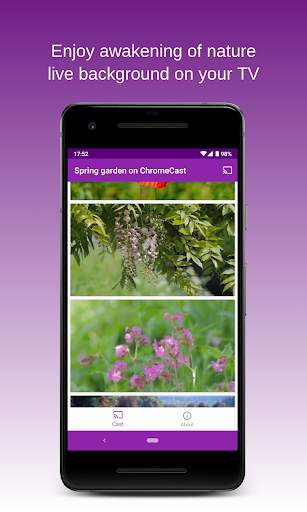 Spring Garden on Chromecast🌷Live wallpapers on TV screenshot 6