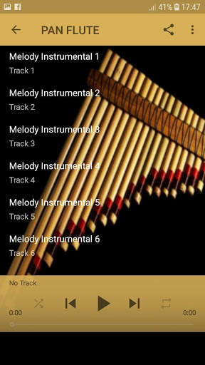 Instrumental Music Hits 2 تصوير الشاشة