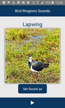 Bird Ringtons Sounds screenshot 6