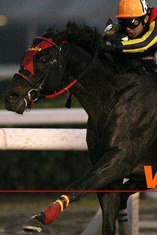 Horse Racing Puzzle screenshot 4