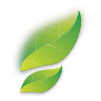 Pharmacy World logo
