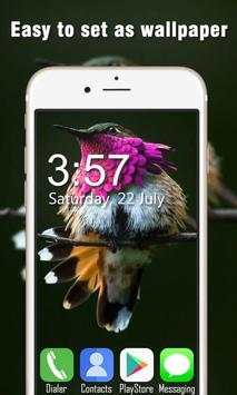 Bird Live Wallpapers HD screenshot 5