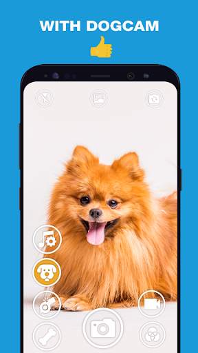 DogCam - Dog Selfie Filters and Camera screenshot 4