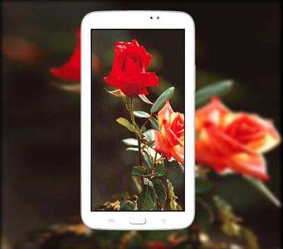 DSLR HD Camera (360) screenshot 1