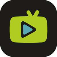 LINK TV