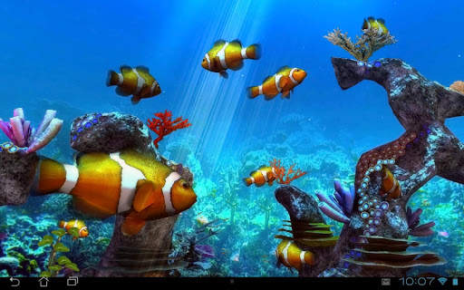 Clownfish Aquarium 3D FREE screenshot 12