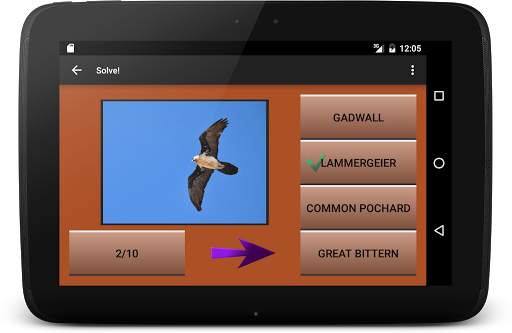 104 Birds Quiz screenshot 17