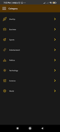 Blink News - India Ka Naya News App screenshot 2