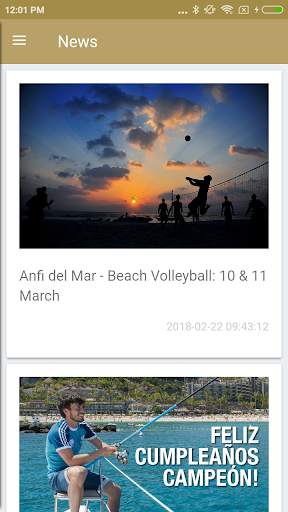 Anfi screenshot 2