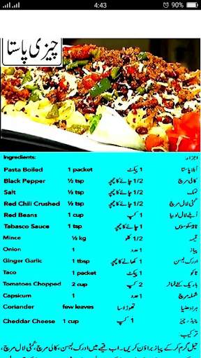 Best Pasta Recipes in Urdu screenshot 5