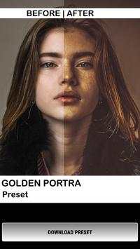 Free Lightroom Presets for Portraits screenshot 1