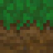 Mini Craft 1.0
