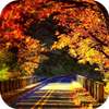 Scenery Photo Maker