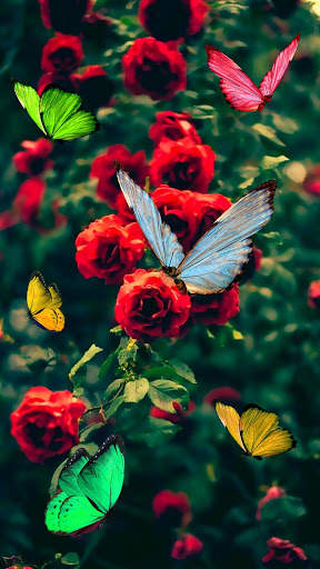 Dancing Butterfly APUS Live Wallpaper screenshot 6