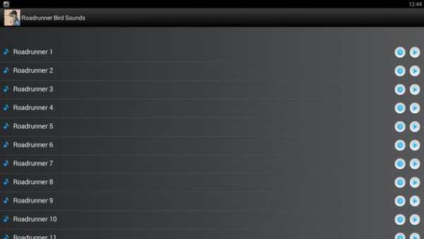 Roadrunner Bird Sound Ringtone screenshot 5