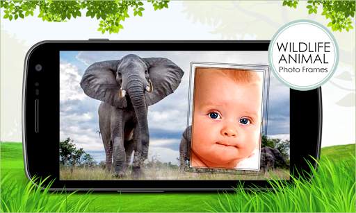 Wildlife Photo Frames screenshot 4