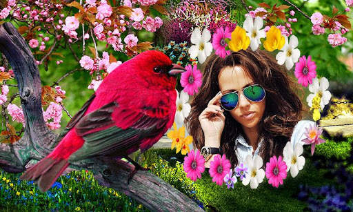 Birds Photo Frames HD screenshot 2