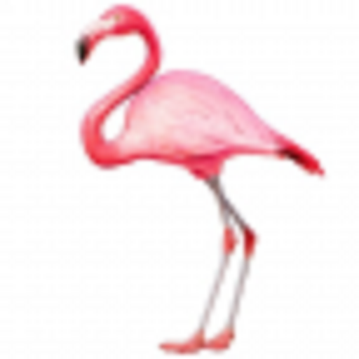Nakuru App icon