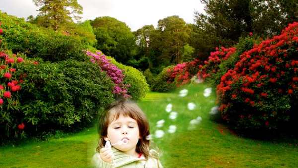 Garden Photo Frame screenshot 3