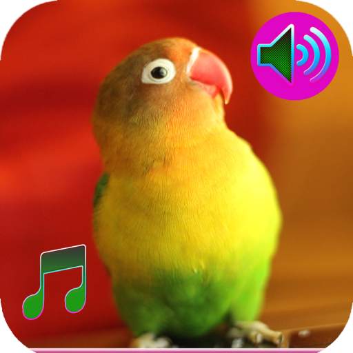 Birds Sound Ringtone 1.03
