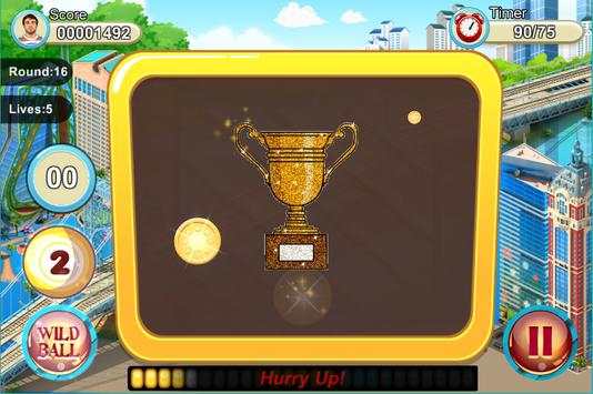 13 Ball King screenshot 6