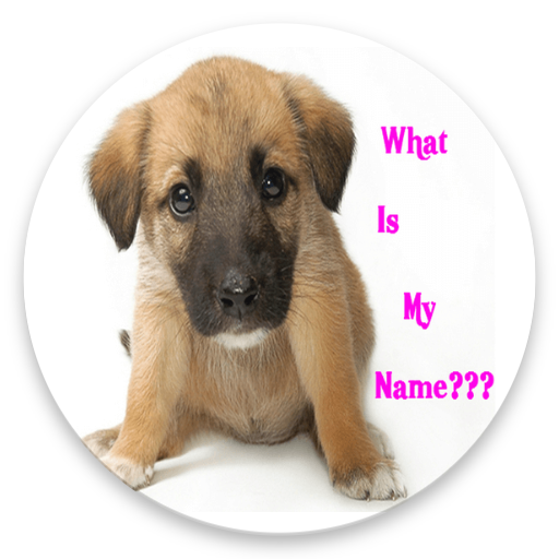CUTE GIRL DOG NAMES APP 2020 icon