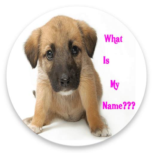 CUTE GIRL DOG NAMES APP 2020 22.0